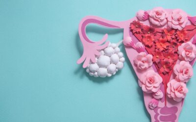Acné Hormonale et Cycle Féminin : Comprendre l’Impact de la Pilule Contraceptive et des Changements Hormonaux